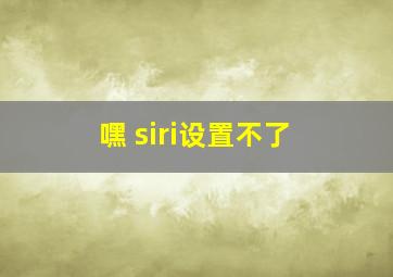 嘿 siri设置不了